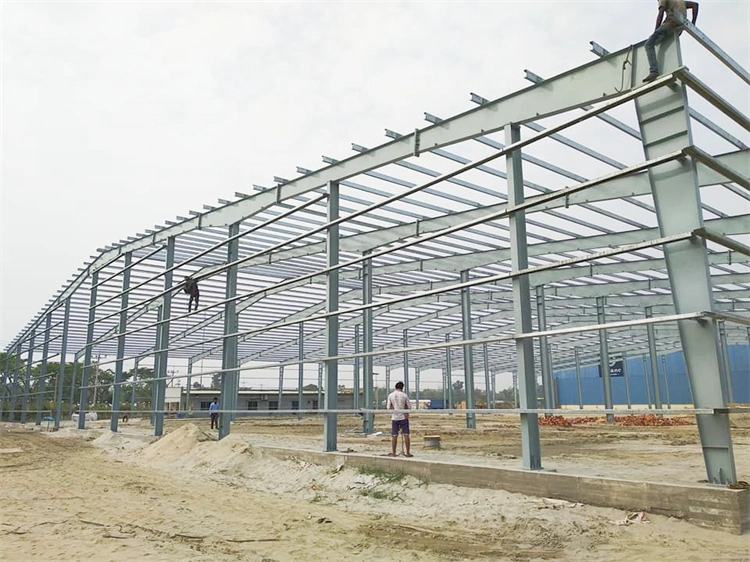 Libya Customized Design Steel Structure Buildings with Insulation Materials