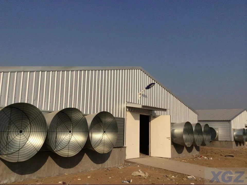 Prefabricated Industrial Galvanized Steel Structure Construction Building Corrosion Resisting Poultry House