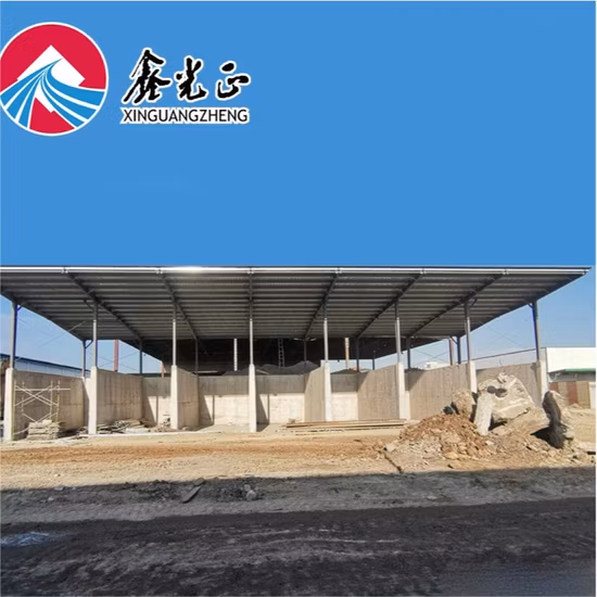 Prefabricated Fire Proof Steel Frame Workshop/Warehouse/Hangar Building