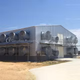 Complete Full Closed Poultry House with Automatic Layer Cage Equipment