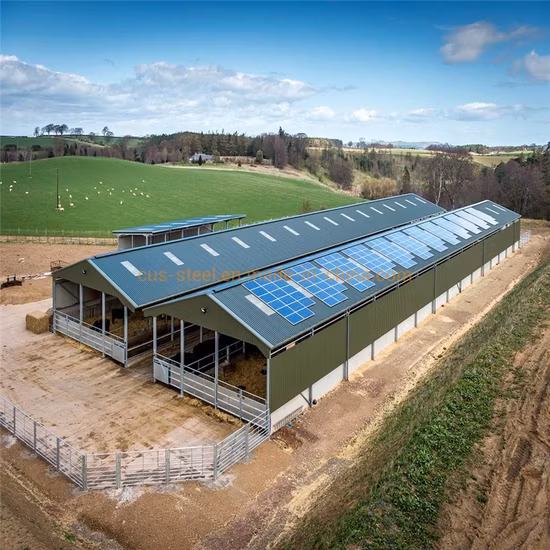 Best Price Prefabricated Steel Structure Poultry Livestock House