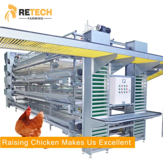 Design Automatic Egg Layer Poultry Farm Battery Chicken House for 10000 Laying Hens