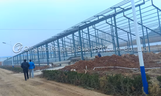 Professional Prefabricated Steel Building for Warehouse/Steel Shed/Workshop/Storage/Steel Structure/Construction Building with CE Approved/Q235B/Q345b