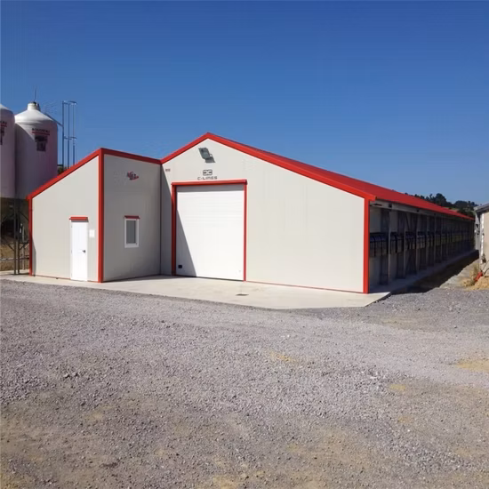 Popular Galvanized Prefabricated Customized China Steel Structure Project Poultry Farms Chicken Coop House with Low Price