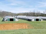 Good Price Prefabricated/ Prefab Light Steel Frame Construction Structure Modular Design Frame Chicken Poultry Farm House