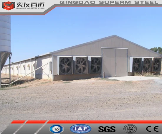Quick Build Prefabricated Metal Buidling Steel Structure Fabrication Poultry Farm Chicken House