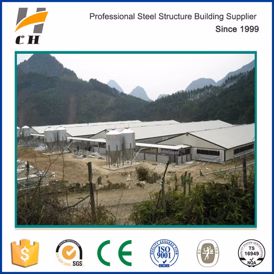 Factury Price Light Weight Metal Steel Structure Frame Broiler Farm/Poultry House/Broiler House/Chicken House with Equipment
