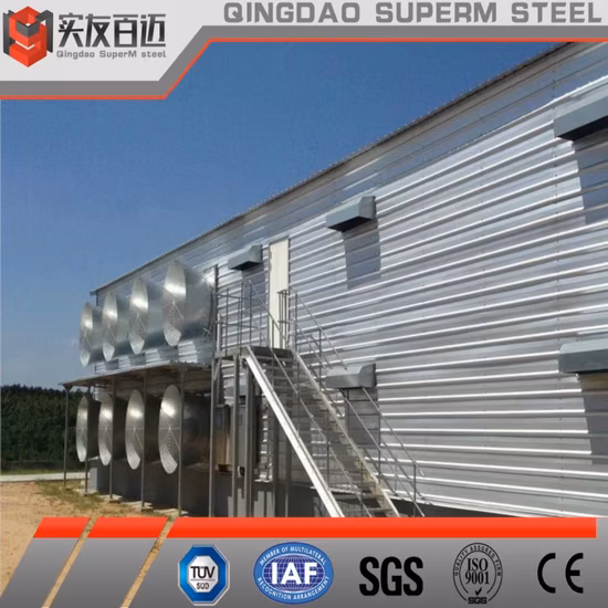The Middle East Steel Structure Broiler Poultry House Poultry Farms